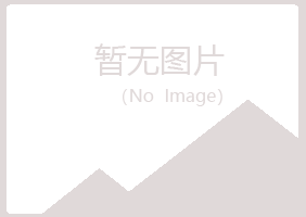 新城子区夜山体育有限公司